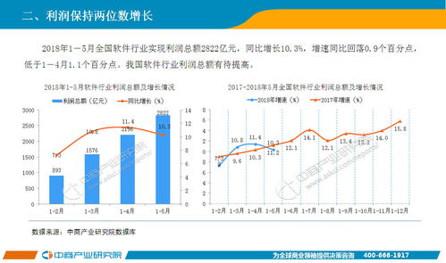 2018年1-5月中國軟件行業(yè)經(jīng)濟運行情況月度報告——軟件服務(wù)